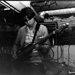 The Moogs
